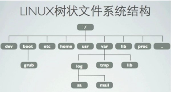 树状结构图